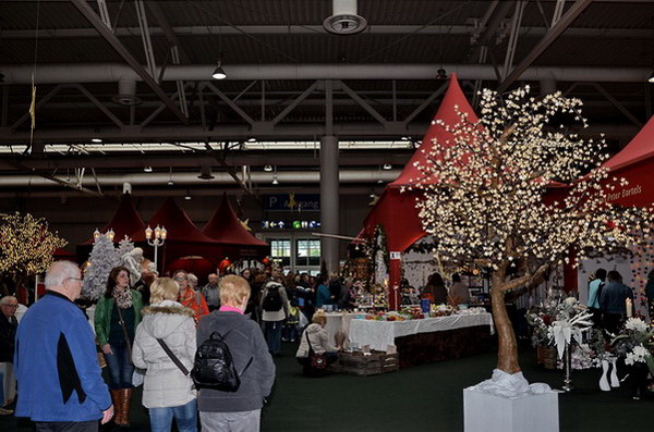 infa_2013   209.jpg